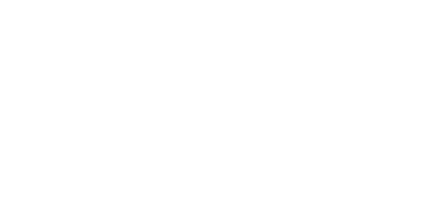 Logo Safe Group — Security Service Bolzano, sponsor della A.S.D. Südtirol Cage Fighting